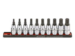 1/2   Dopbitset Ribe 10-dlg. op rail 